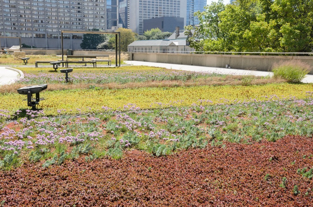 Green Roofs Sunman, IN Krueger Maddux Greenhouses
